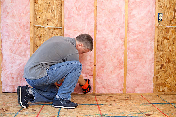 Types of Insulation We Offer in Kula, HI